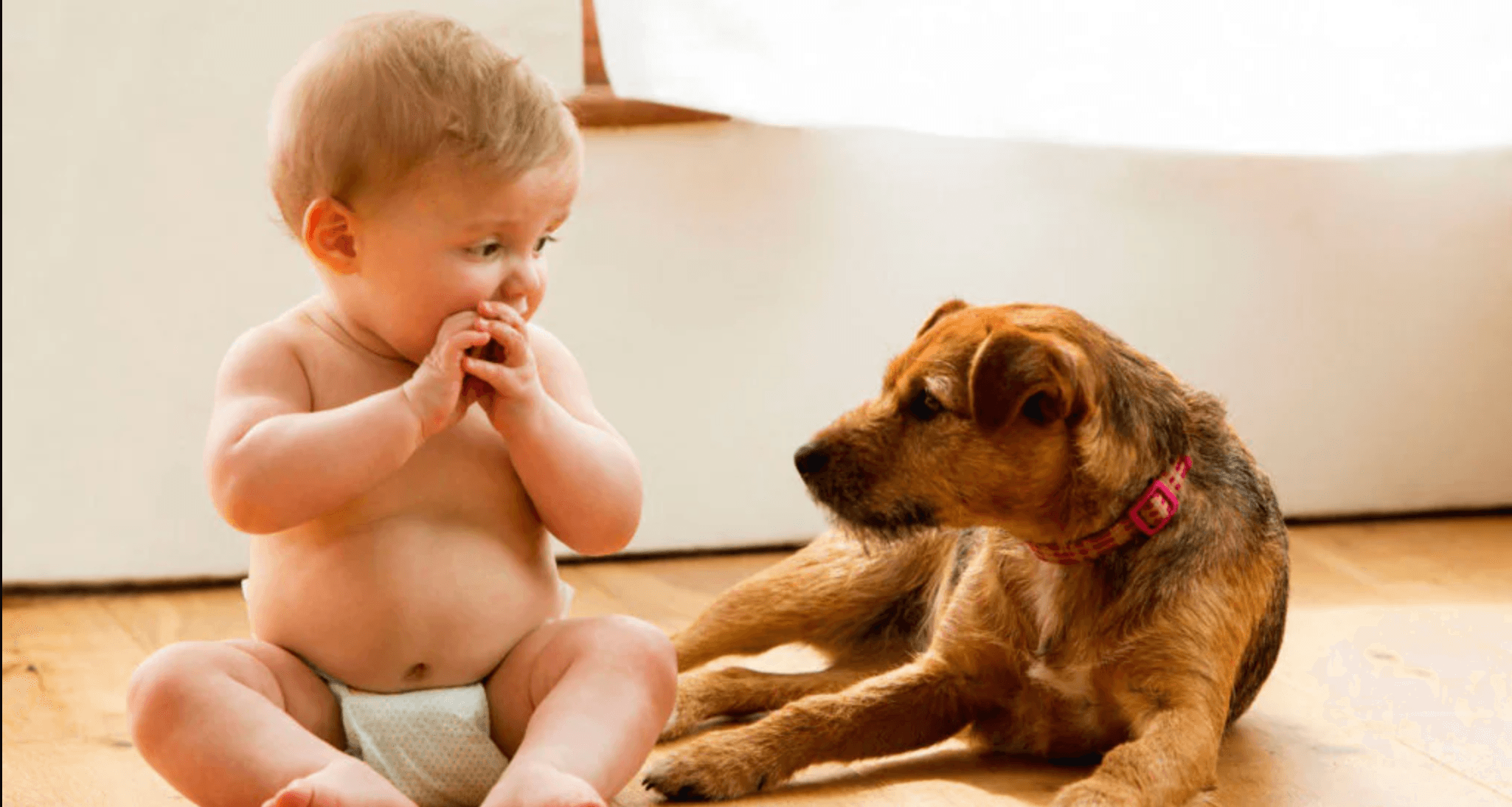 Let’s talk about what's not okay with "all-purpose cleaners" marketed to tackle life's messes!